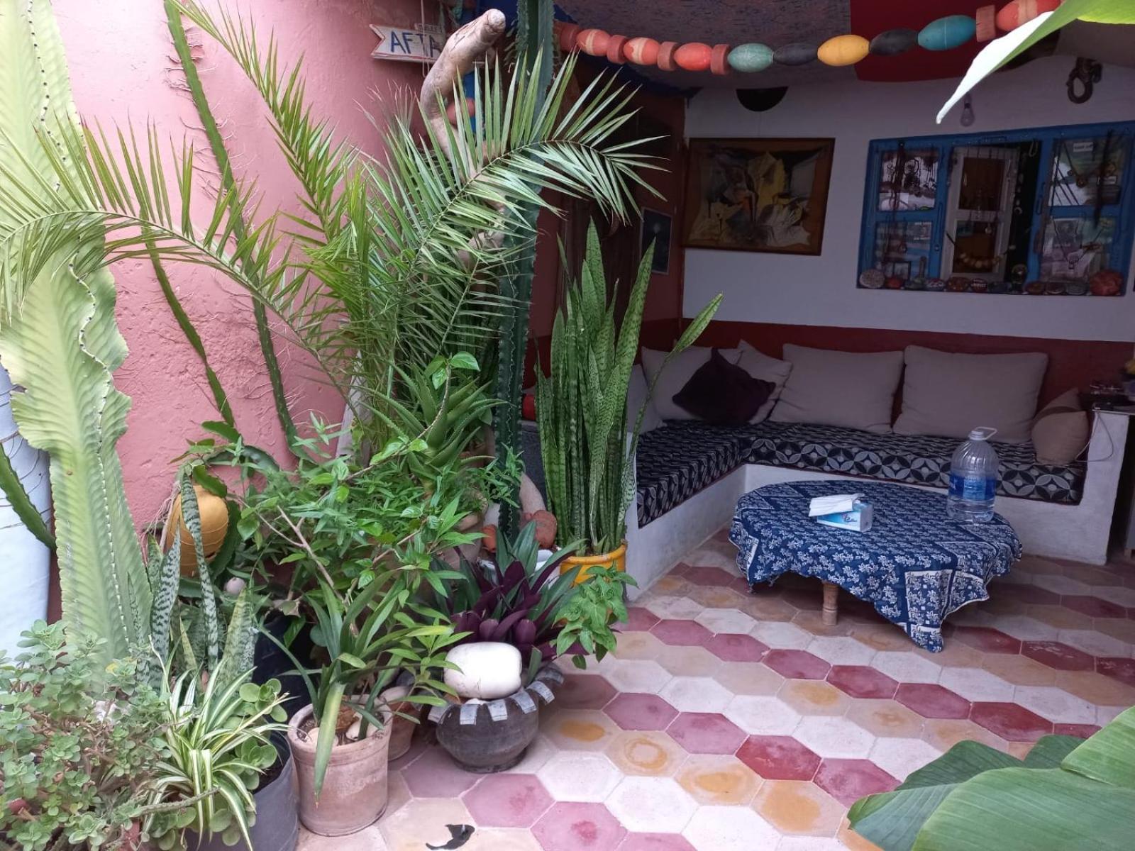 Kasba De L'Artiste Bed & Breakfast Mirleft Bagian luar foto